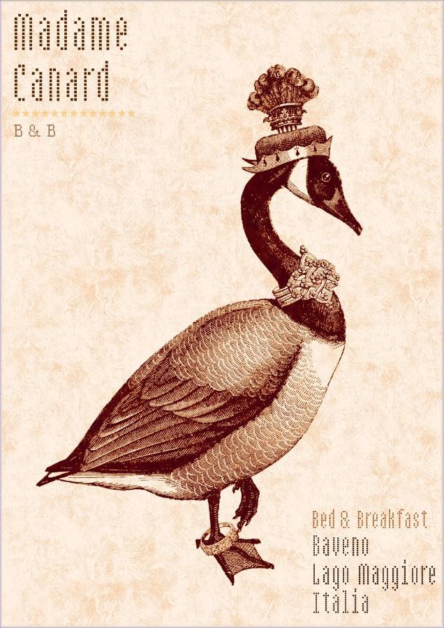 Madame Canard Baveno Buitenkant foto